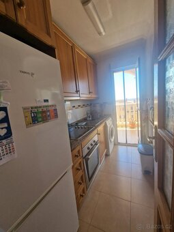 ŠPANĚLSKO, Torrevieja, apartmán s výhledem na moře - 16