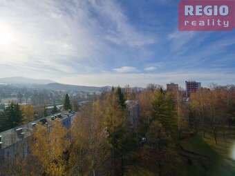 Prodej bytu 3+1 , Na Aleji, Frýdek - 16