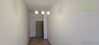 Zděný byt se sklepem a podílem na pozemku - Jírovcova ulice - 16