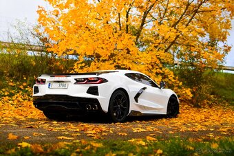 Chevrolet corvette c8 Stingray - 16