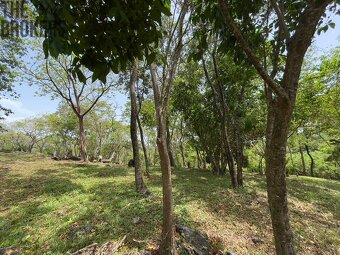 Lot 3 Bodden Bight Estate Jonesville, Roatan - 16