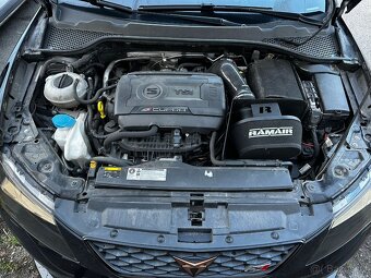 Seat Leon Cupra 280 - 16