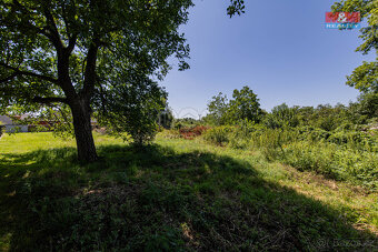 Prodej rodinného domu, 160 m², Dlouhá Loučka, ul. Úzká - 16