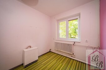 Prodej rodinného domu 6+2 se zahradou, Němčice, okres Mladá  - 16