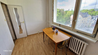 Pronájem 2+1 s Lodžií v centru města - 16