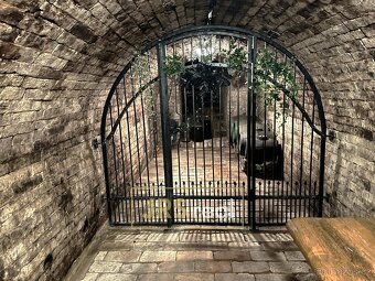 Prodej penzionu s CP 250 m²  v Bořeticích na  Kraví hoře - 16