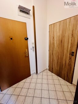 Pronájem bytu 2+1 59 m2 - 16