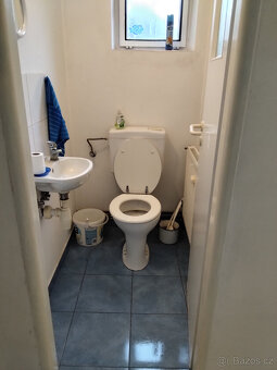 Dům se zahradou ve Vodňanech - 16