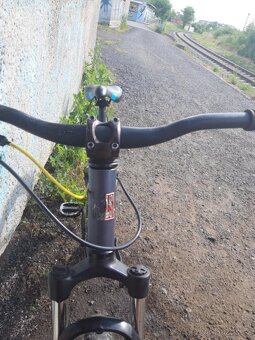 MTB/DIRT PELLIS ROOT - 16