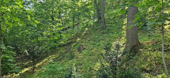 Údržba zeleně - 16