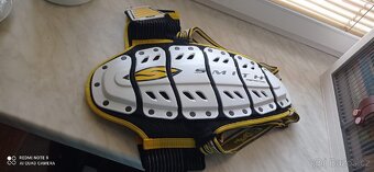 Snowboard Sims - 16