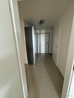 Pronájem bytu 3kk - 16