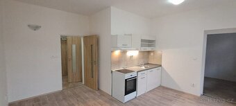 Pronájem bytů 2kk a 3kk, s balkónem či terasou, Peruc - 16