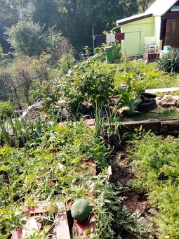 Parcela,zahrada,chatka - 16