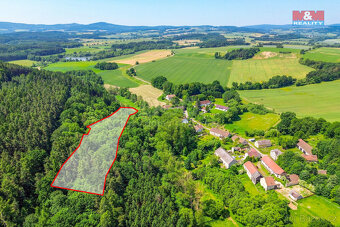 Prodej stodoly s lesním pozemkem 5096 m², Hostouň - Slatina - 16