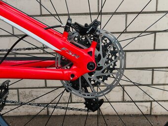 Specialized Stumpjumper 29" FSR Comp L 2017 - 16