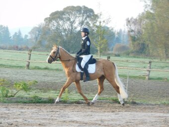pony A do sportu - 16