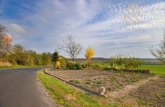 Prodej rodinný dům, 238m2, pozemek 395m2, Nížebohy - 16