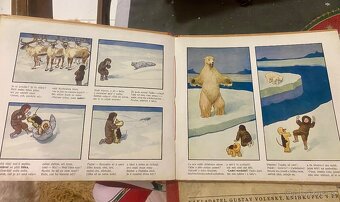 KULIHRÁŠEK MEZI ZVÍŘÁTKY, U SEVERNÍ TOČNY, U MOŘE, TULÁKEM… - 16