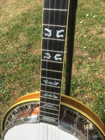 Pětistrunné banjo OME TRIPLE X - 16