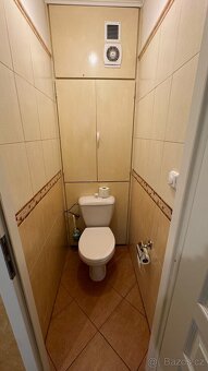 Pronájem byt 4+1 - 16