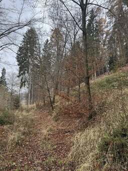 Prodám lesní pozemky v k.ú. Střemeníčko - 16