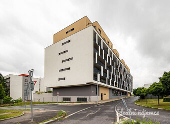 Pronájem bytu 2+kk, Lehovecká, Hloubětín,  50 m2 - 16