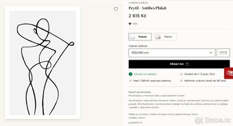 Prodám obrazy (plakáty) - 30 x 40 cm - 16