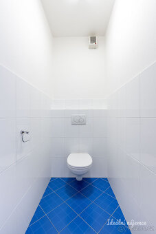 Pronájem bytu 3kk 75 m2 - 16