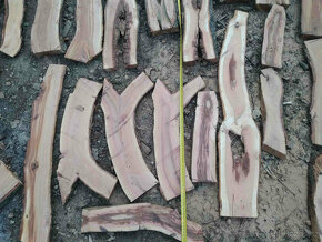 švestka fošny 4cm silné,vhodné do pryskyřice a na dekoraci - 16