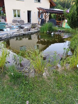 Jezírkový filtr, čerpadlo, uv lampa změna ceny - 16