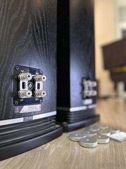 Fyne Audio F501 - 16