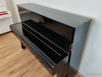 Steinway and Sons dovoz celá ČR - 16