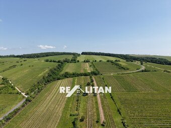 Vinný sklep, Blatnice pod Svatým Antonínkem - 16