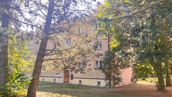 Prodám cihlový byt 60 m2 Svitavy - 16