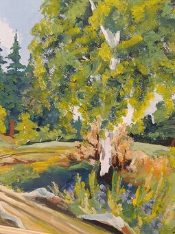 Obrazy 4ks Alois Kokáč, olej 50x70 - 16