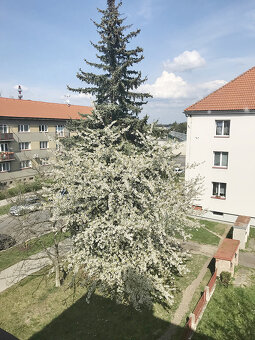 Prostorný byt 3+1 s balkonem, zahrádkou a osobitým stylem na - 16
