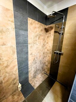 Prodej rodinného domu v centru Plzně, Slovany - 16