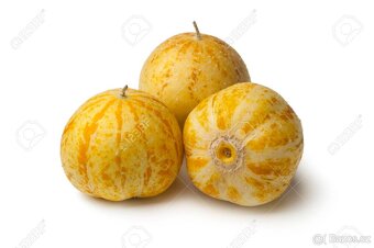 Citronové popínavé mini okurky (10 semen) - 16