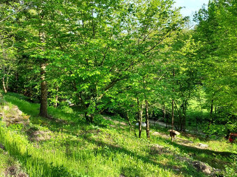 Prodej rekreační chaty Plumlov - Hamry - 16