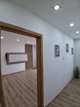 Prodej kompletně zrekonstruovaný byt 1+1 33m2 s lodžií 4m2 - 16
