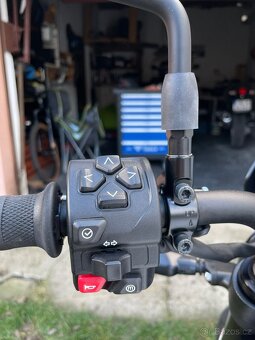 Triumph Trident 660 TP35KW - 16