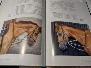 Odborná literatura o koních, jezdectví - Trénink koně - 16