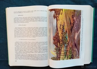 GEOLOGIE - MINERALOGIE - KNIHY - 16