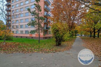 Pronájem bytu 1+kk 25 m² - 16