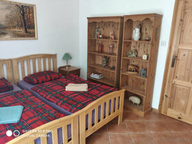 Půvabný mlýn s rybníky, lesy, pastvinami, 5 apartmanů - 16