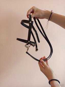 Larden Hobby Horse Lady - 16