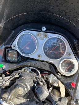 Aprilia Pegaso 650 - 16