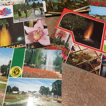 staré pohledy Olomouc výstava Flora - 16