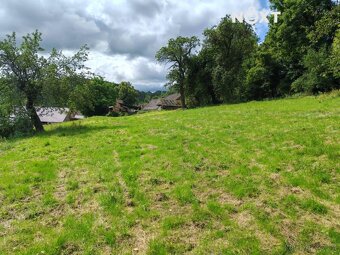 Prodej Zemědělská usedlost, 7 607㎡ - 16